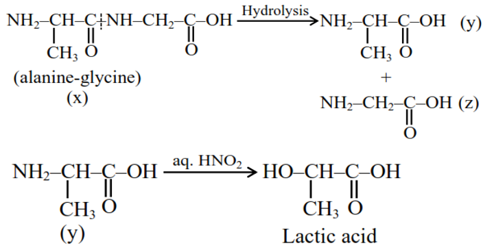 Solution Image