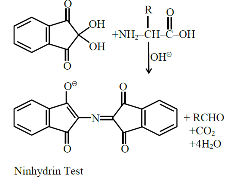Solution Image