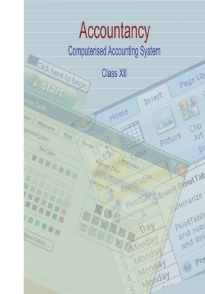 Computerized Accounting System Class 12 Accountancy NCERT