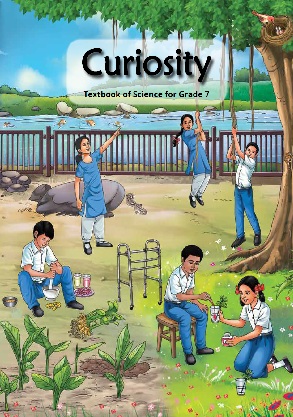 Curiosity